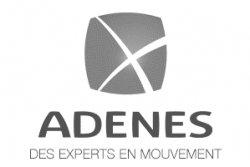 adenes logo