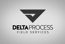 DeltaProcess logo